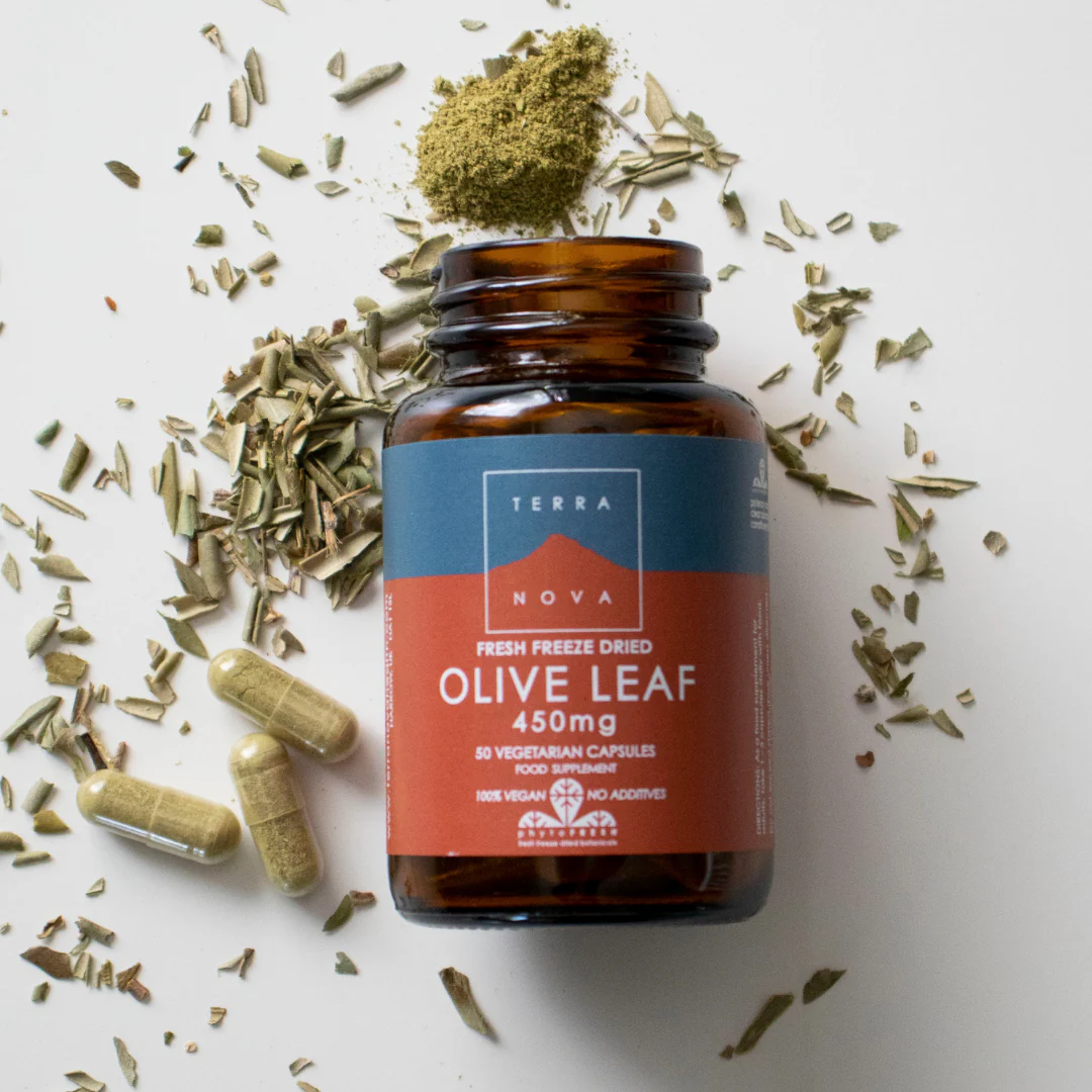 Terranova Olive Leaf 450 mg - Oliivinlehti 50 kaps. - Image 2